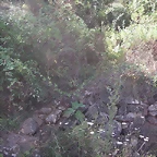 Sueras 028