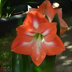 DSCN0812