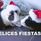 Felices fiestas