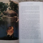2012-04-17 17.52.13