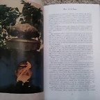 2012-04-17 17.52.13