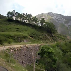 DSCN3594