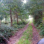 DSCN5283