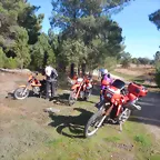 DSCN4595