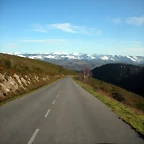 DSCN2531