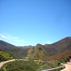 DSCN8542