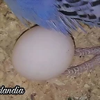 FB_IMG_1538555986368