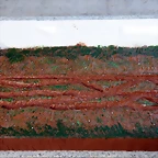 DSC_0459