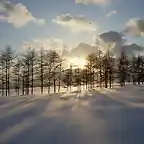 Snow_Scenery_03
