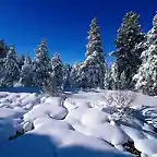 Snow_Scenery_02