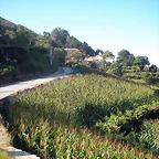 DSCN7934