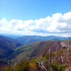 DSCN4995