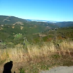 DSCN0082