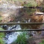 DSCN8439