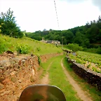 DSCN5245