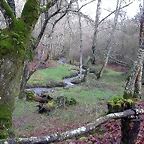 DSCN7324
