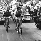 GIRO73 MERCHKX,