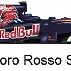 toro rosso