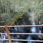 DSCN8893