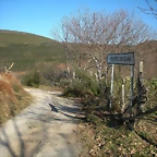 DSCN2949