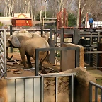 Zoo de Barcelona 20-01-2011 061