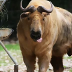 Zoo Lunaret + Sigean 18 i 19-09-10 402