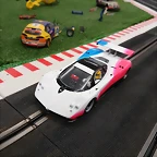mini_DSC_0238