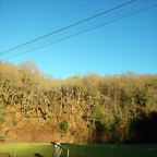 DSCN1169