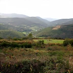 DSCN8406