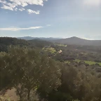 y14