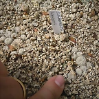 SAM_0392