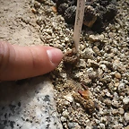 SAM_0387