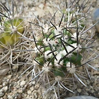 SAM_0403