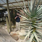 SAM_0384