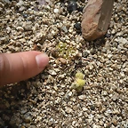 SAM_0389