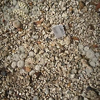 SAM_0393