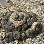 SAM_0388