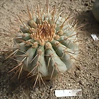 SAM_0406