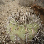 SAM_0404