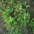 SAM_0440