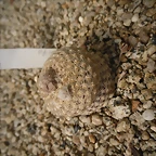 SAM_0400