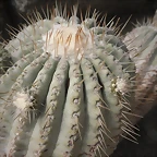 SAM_0407