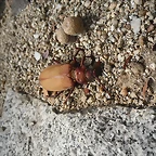 SAM_0381