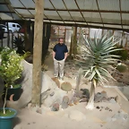 SAM_0382