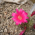 SAM_0391