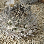 SAM_0398