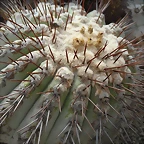 SAM_0396