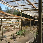SAM_0369