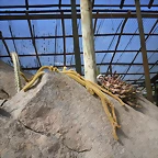 SAM_0383