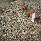 SAM_0401